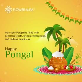 Happy Pongal